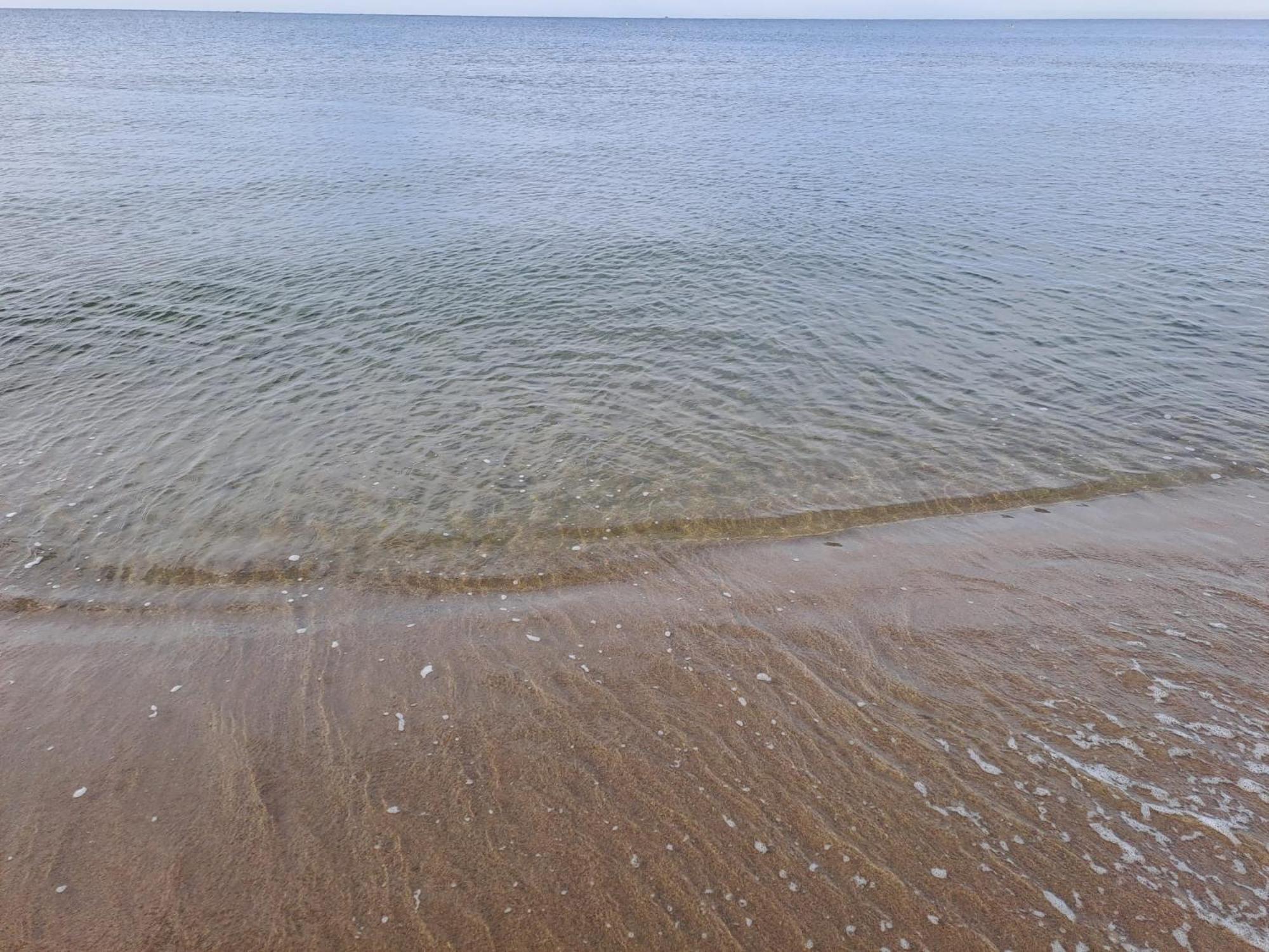 Apartment Sirene452 - - *